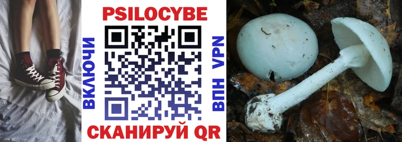 Псилоцибиновые грибы GOLDEN TEACHER  Купить где  Сковородино 
