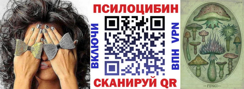 Псилоцибиновые грибы Psilocybe Сковородино