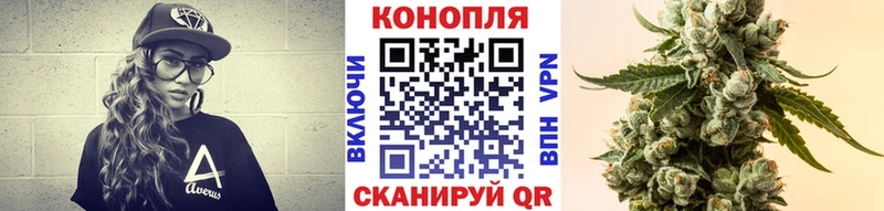 Купить закладки  Сковородино  Каннабис Amnesia 